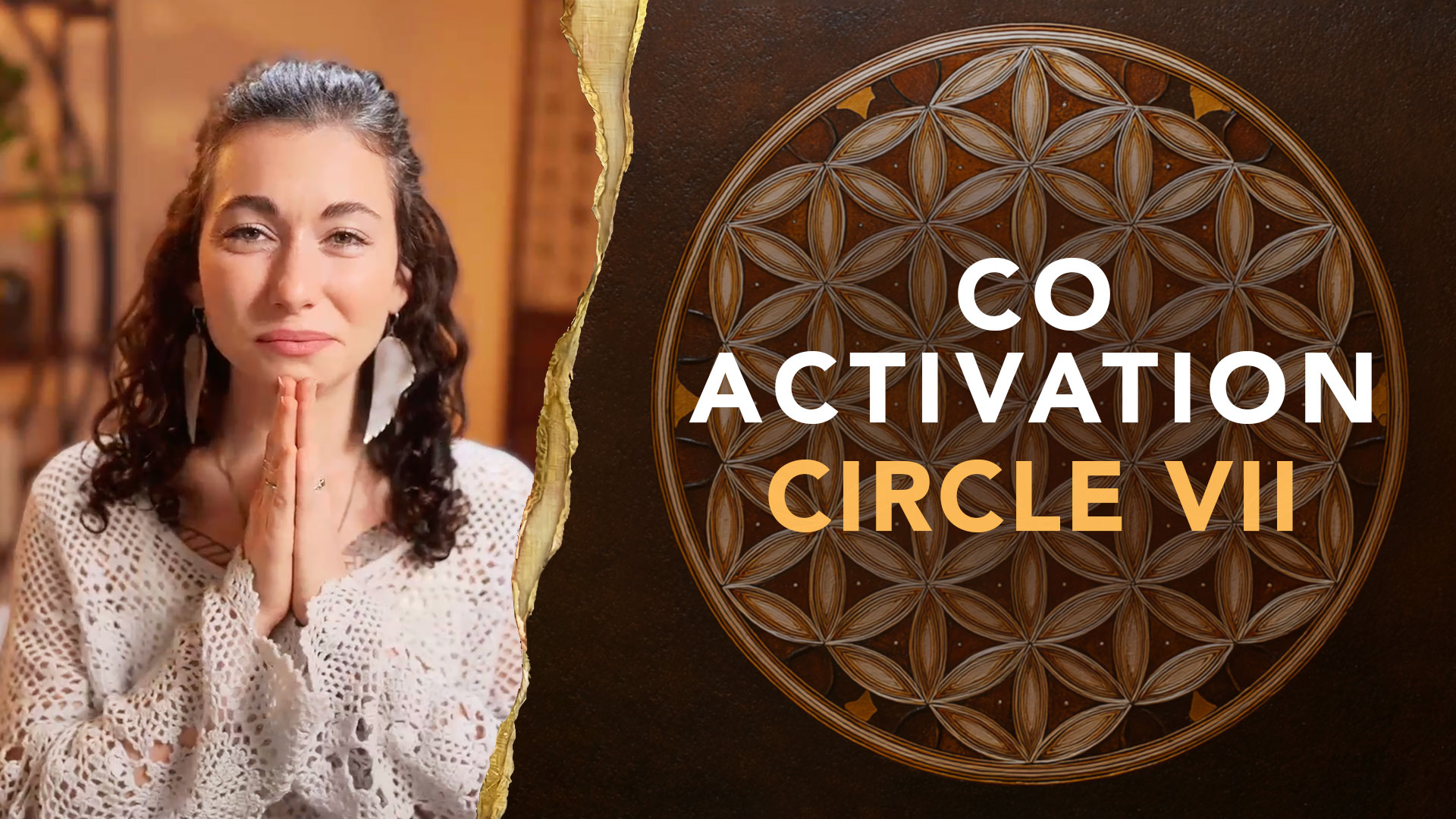 Co-Activation Circle VII